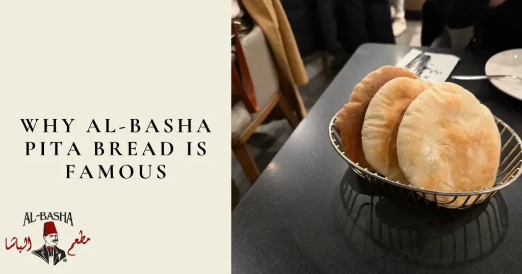 WHY AL-BAsha Pita Bread is Famous